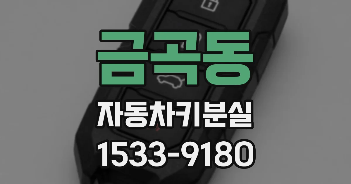 금곡동 자동차키분실