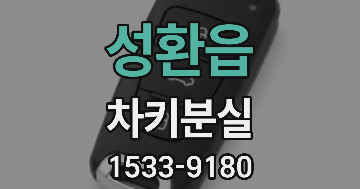 성환읍 차키분실