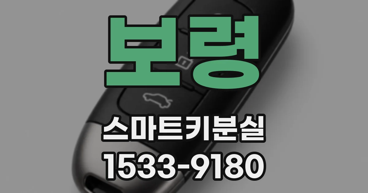 보령 스마트키분실