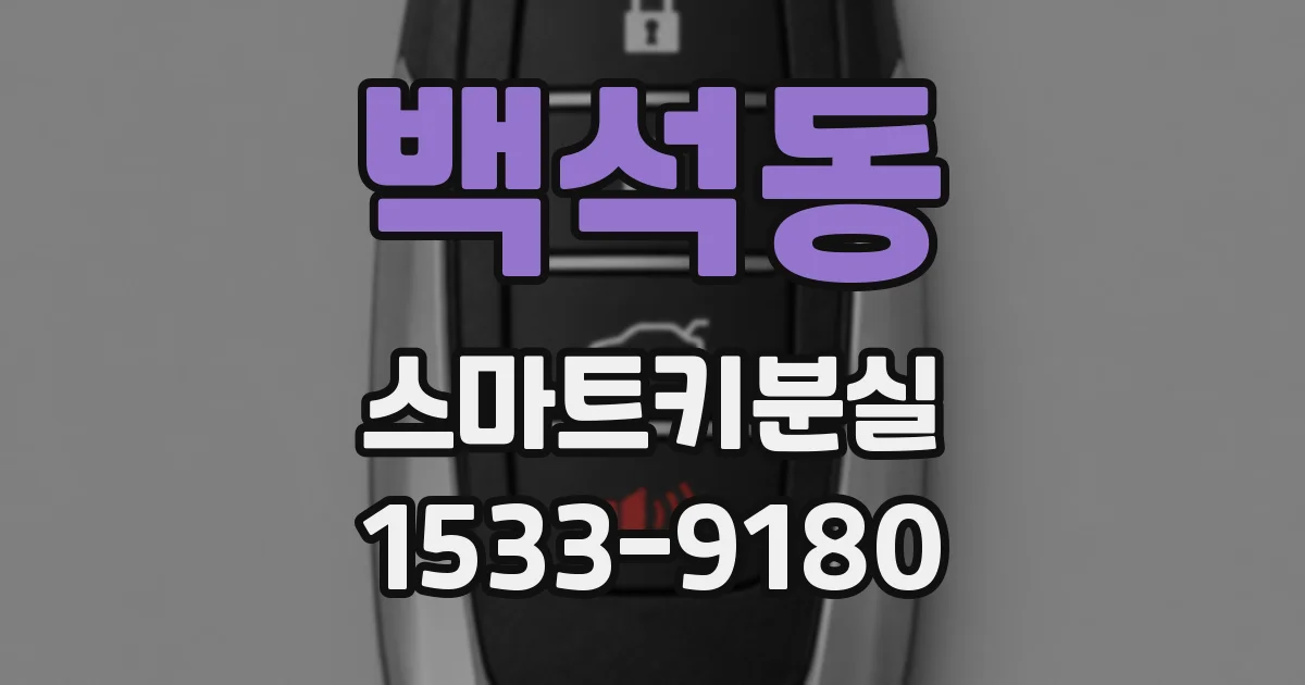 백석동 스마트키분실