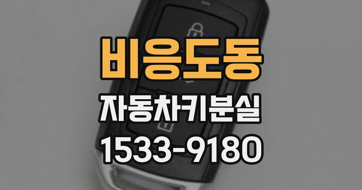비응도동 자동차키분실
