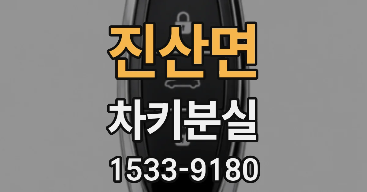 진산면 차키분실
