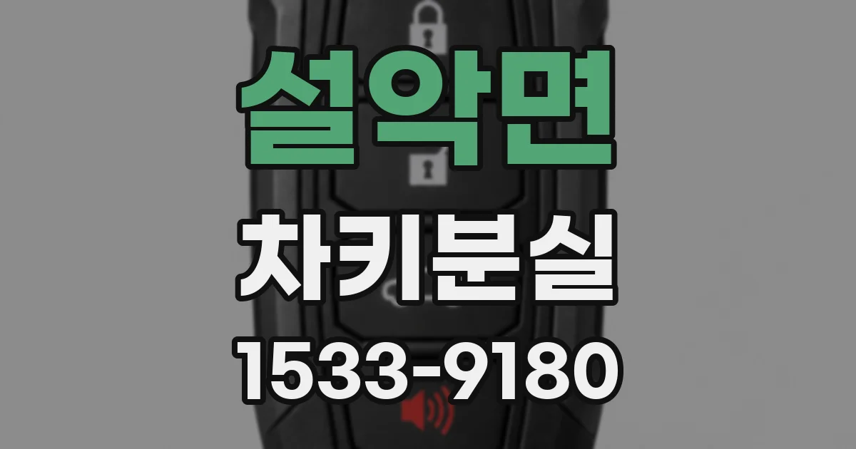 설악면 차키분실