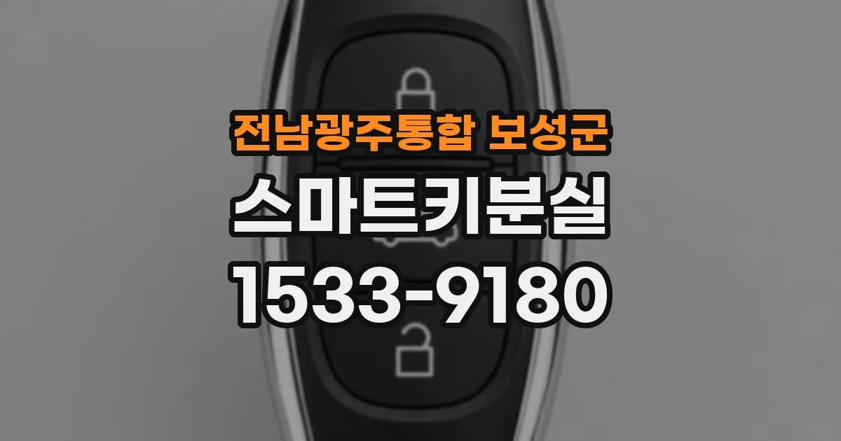 전남광주통합 보성군 스마트키분실