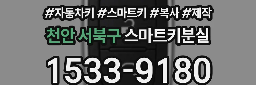 천안 서북구 스마트키분실