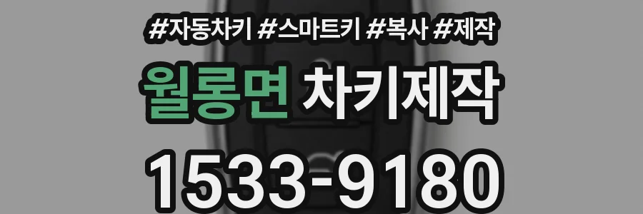 월롱면 차키제작