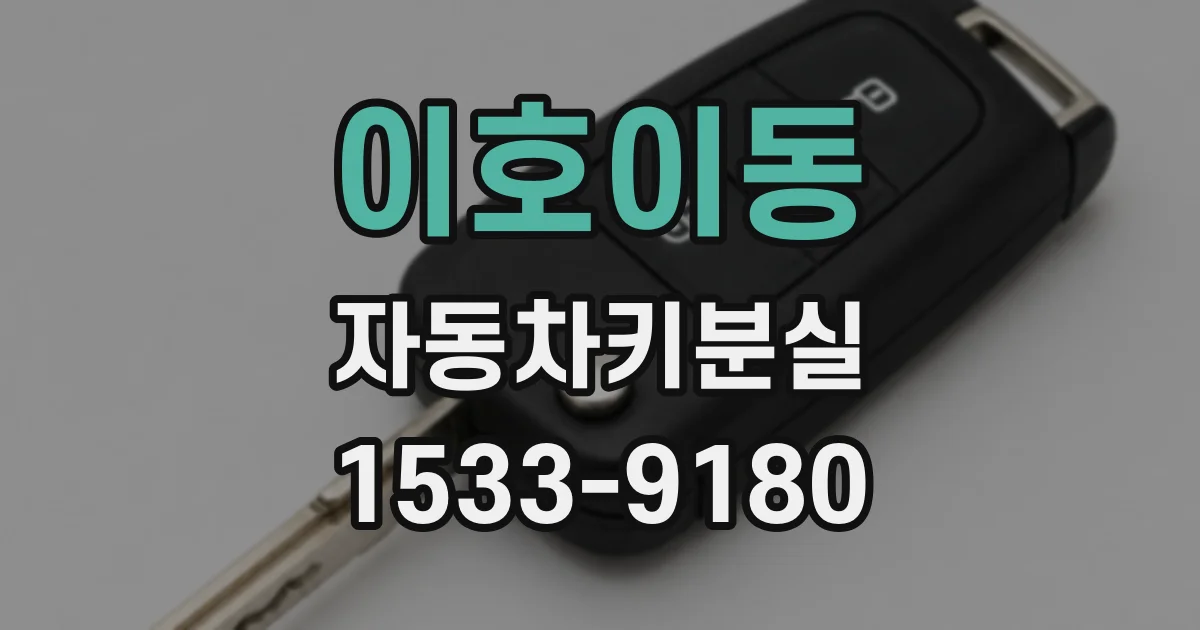 이호이동 자동차키분실