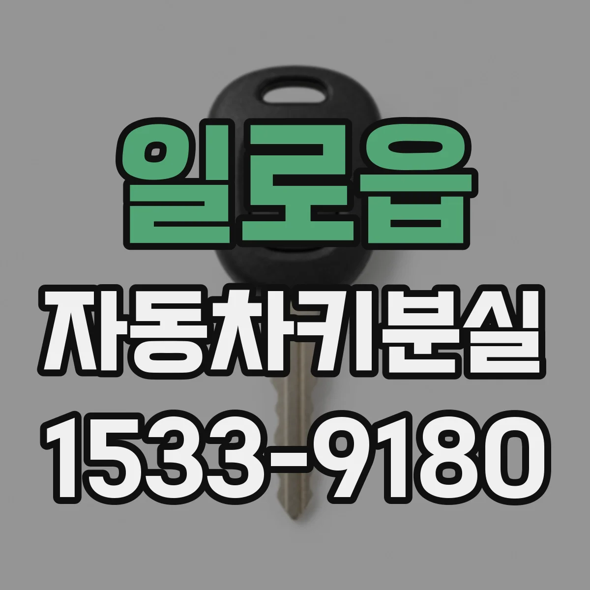 일로읍 자동차키분실