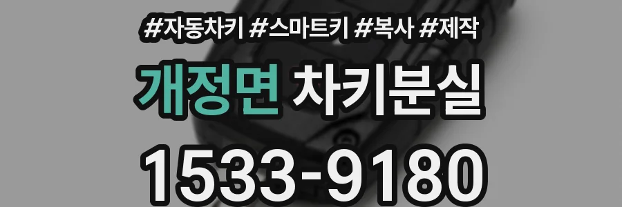 개정면 차키분실
