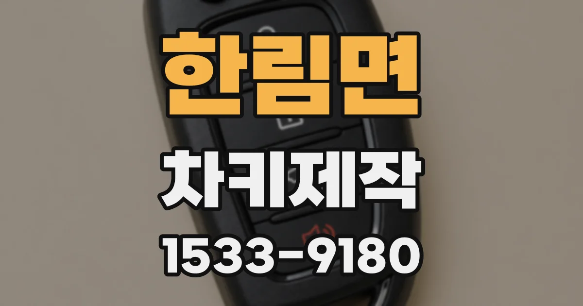 한림면 차키제작