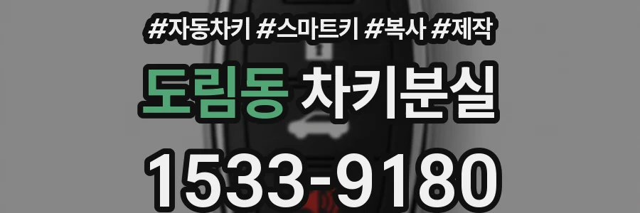 도림동 차키분실