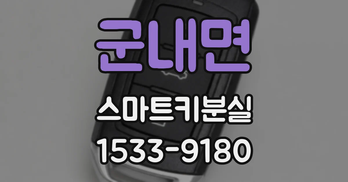 군내면 스마트키분실