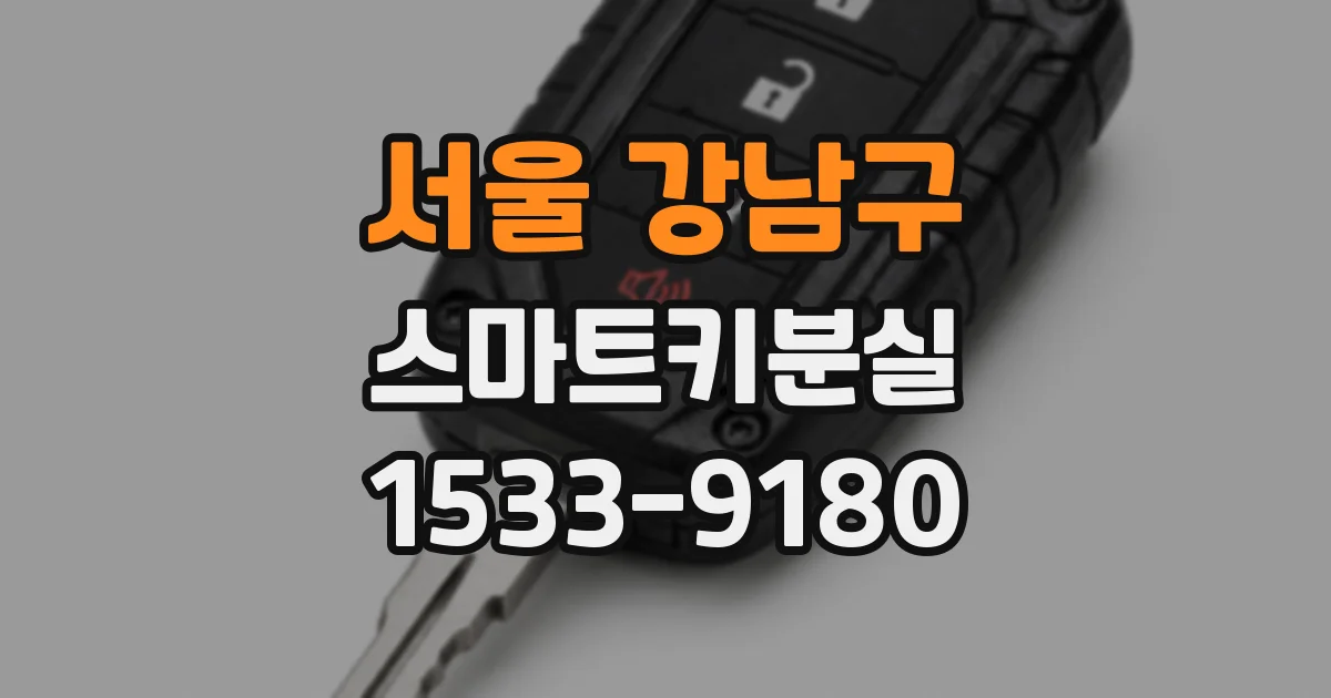 서울 강남구 스마트키분실