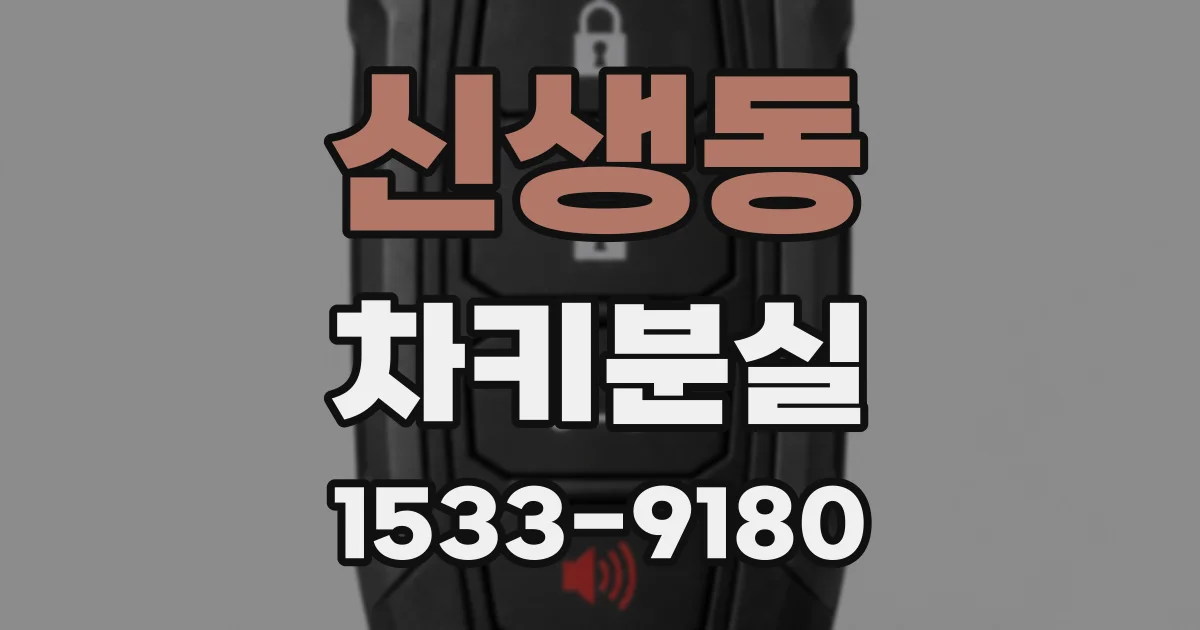 신생동 차키분실