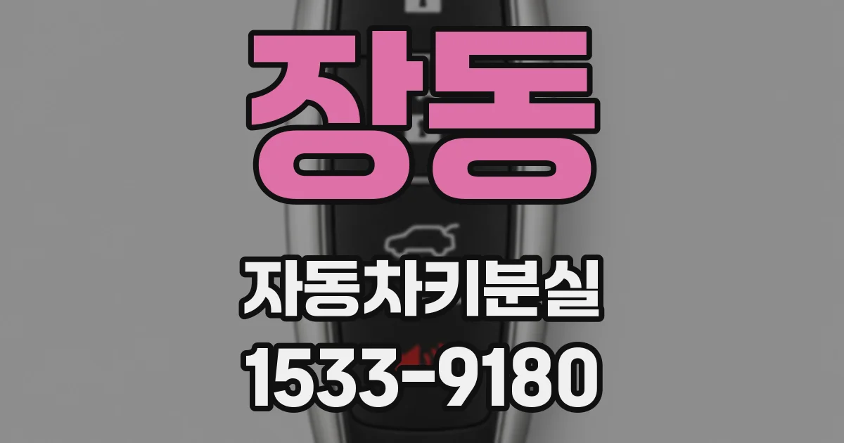 장동 자동차키분실