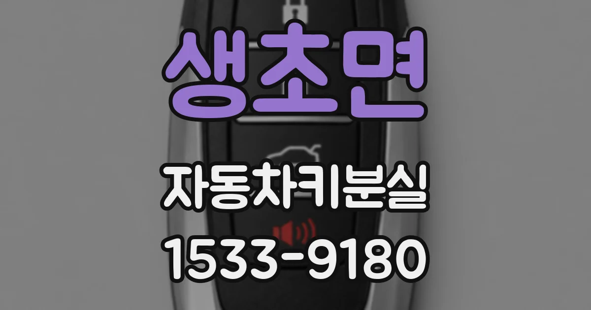 생초면 자동차키분실