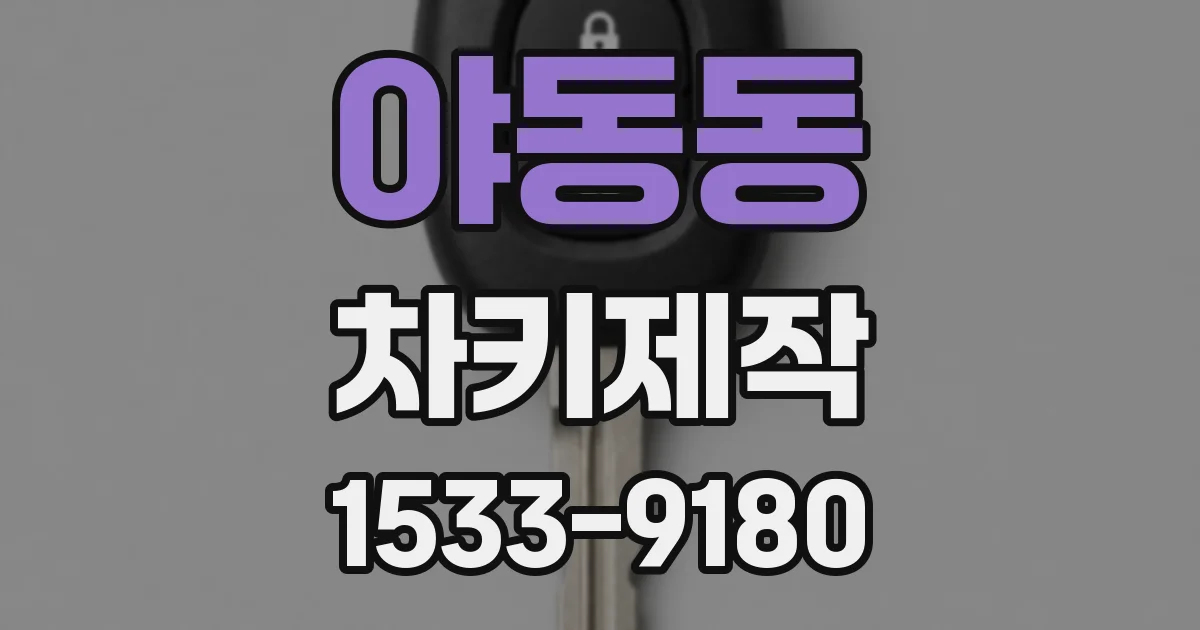 야동동 차키제작
