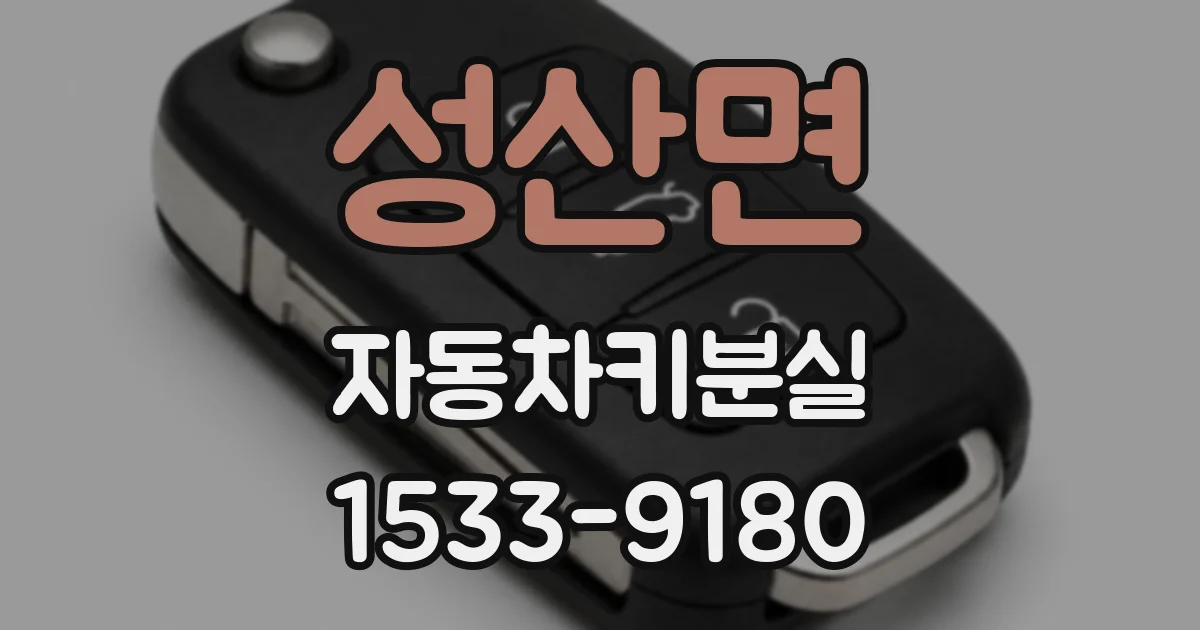 성산면 자동차키분실