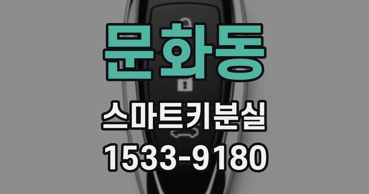 문화동 스마트키분실