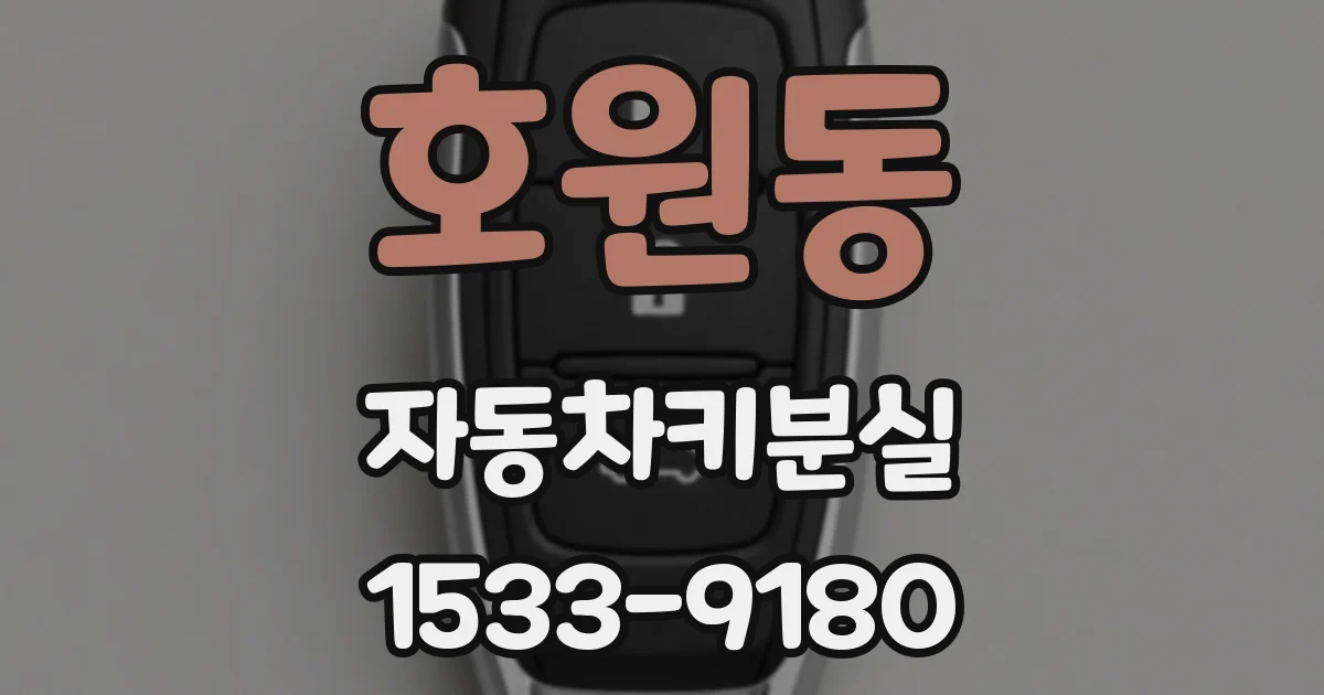 호원동 자동차키분실