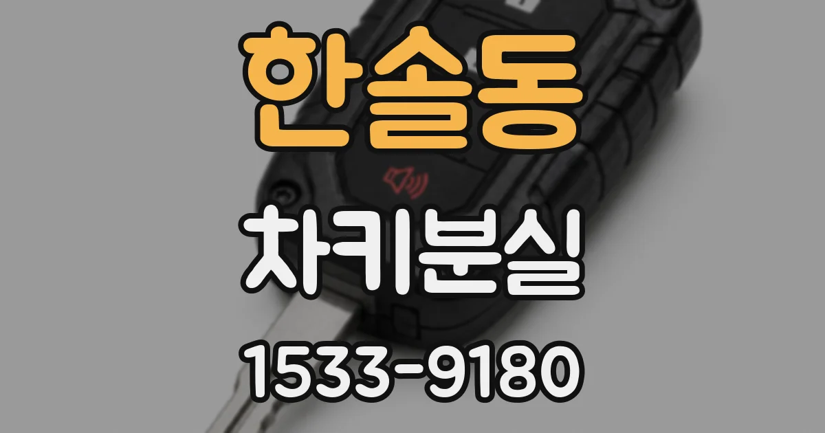 한솔동 차키분실