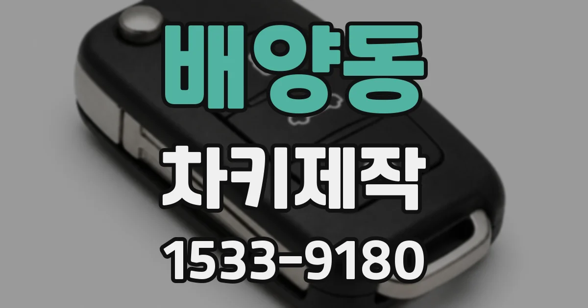 배양동 차키제작