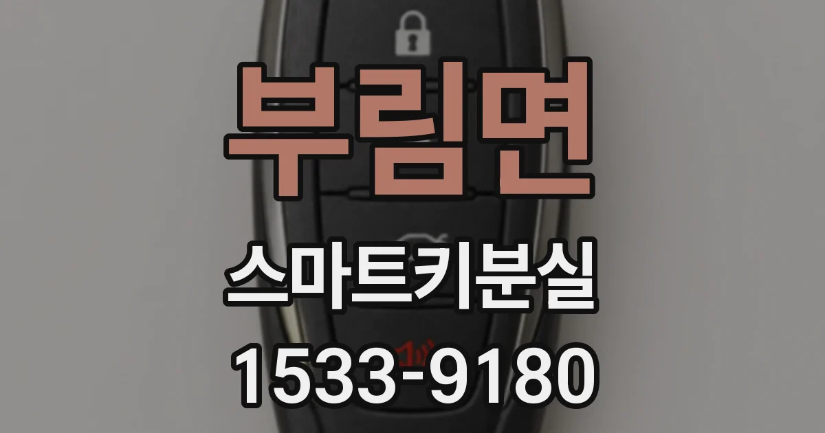 부림면 스마트키분실