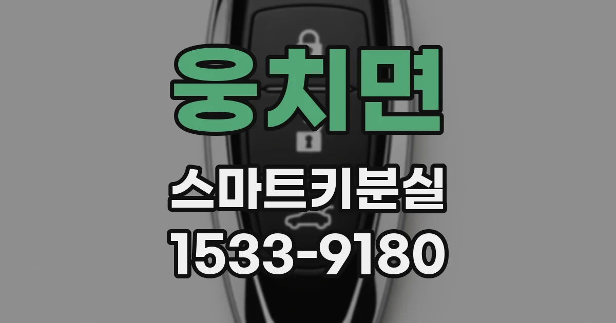 웅치면 스마트키분실