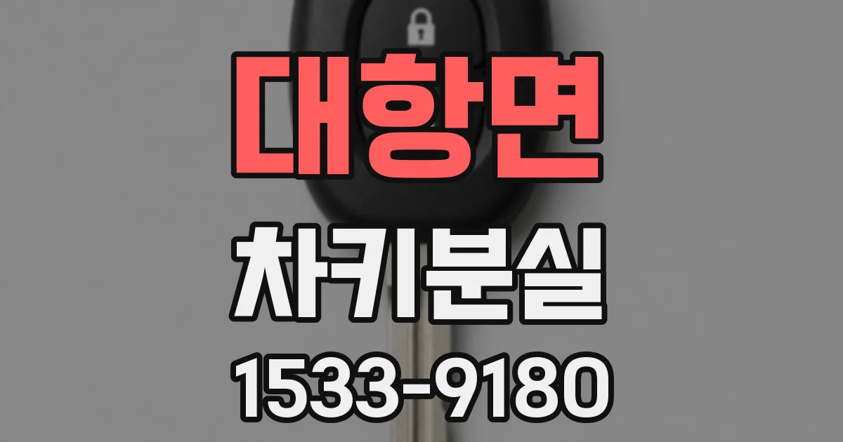 대항면 차키분실