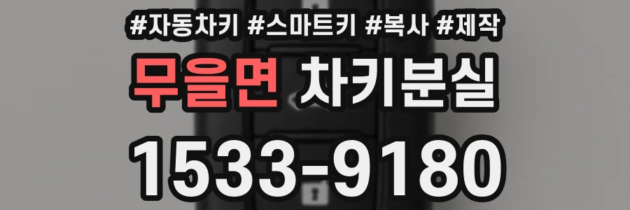 무을면 차키분실