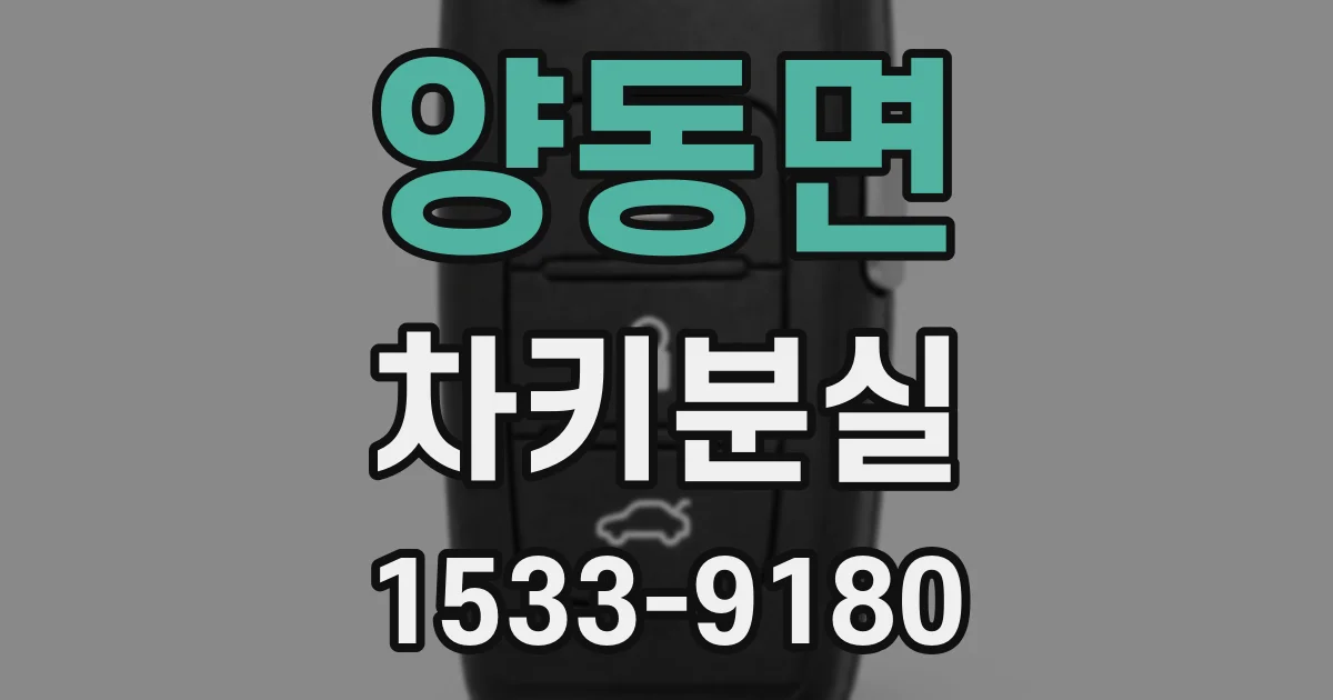 양동면 차키분실