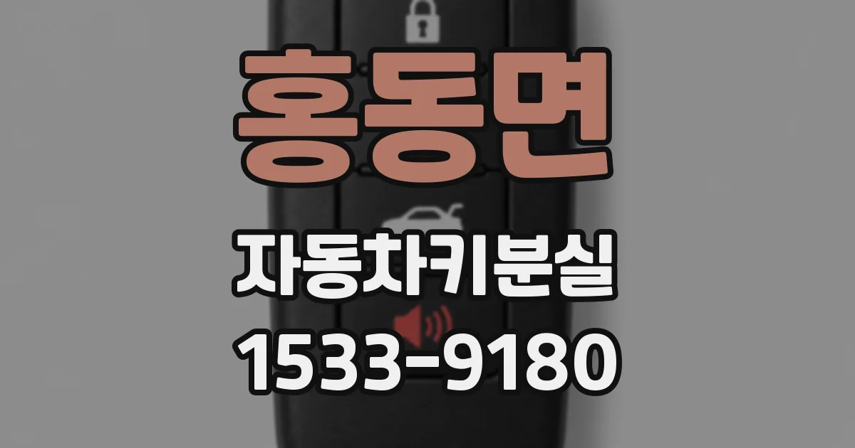 홍동면 자동차키분실