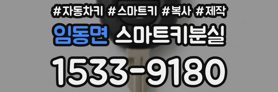 임동면 스마트키분실