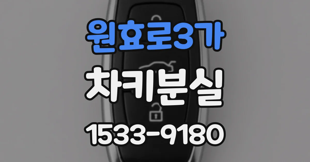 원효로3가 차키분실