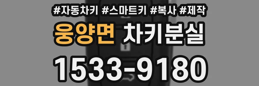 웅양면 차키분실