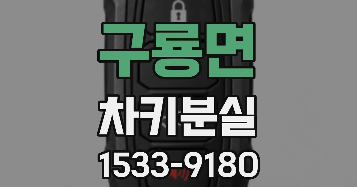 구룡면 차키분실