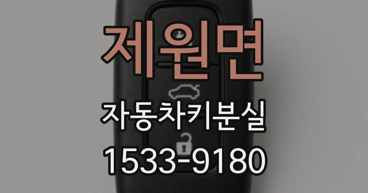 제원면 자동차키분실