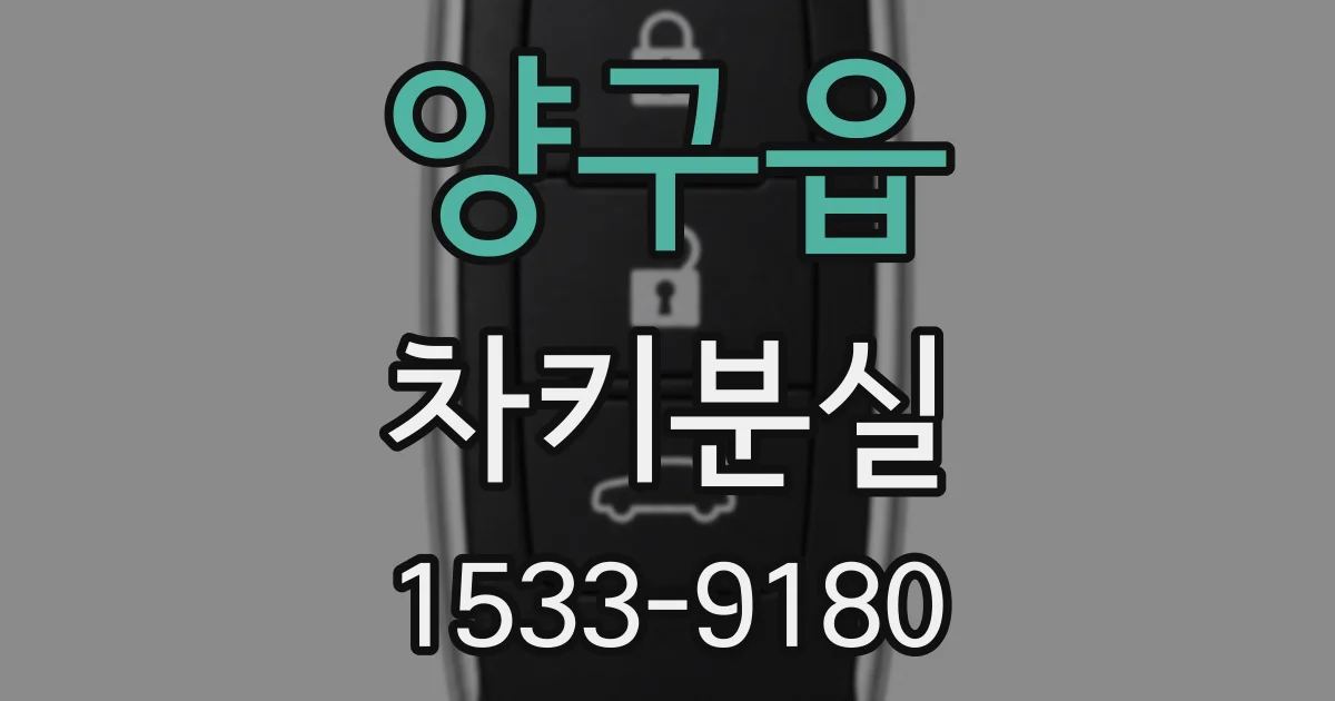양구읍 차키분실