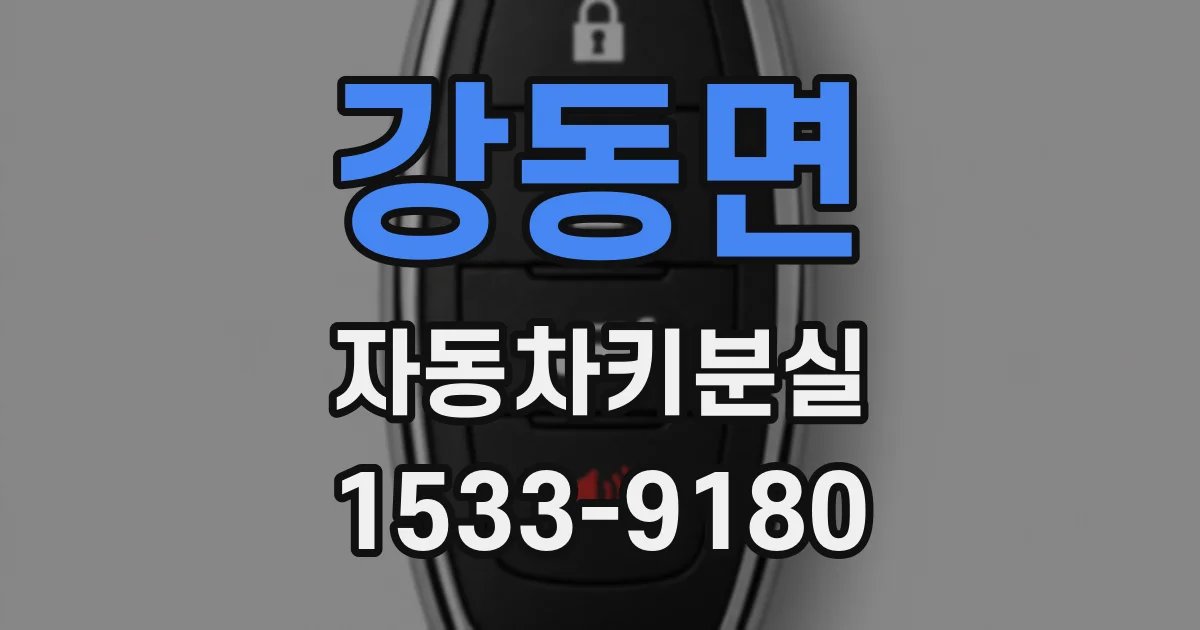 강동면 자동차키분실