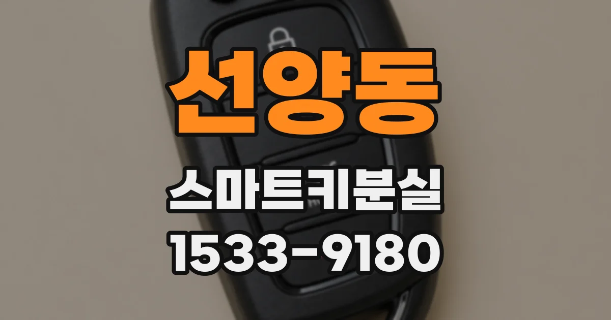 선양동 스마트키분실