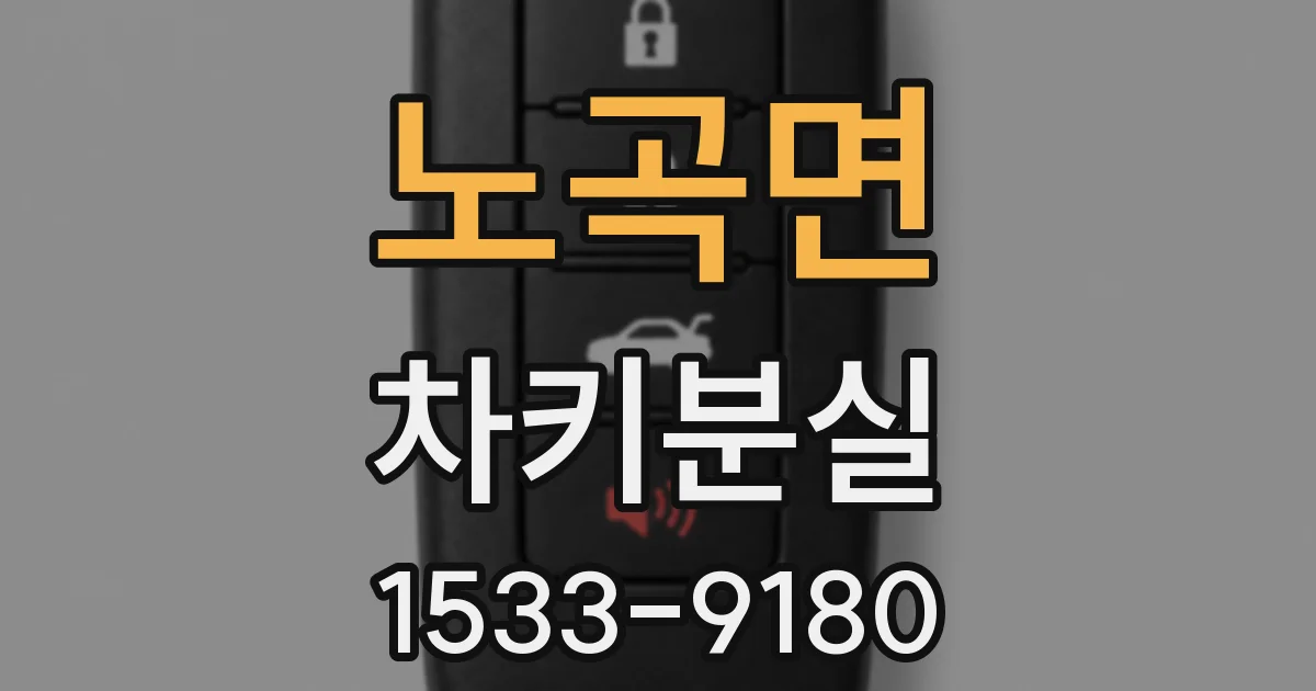 노곡면 차키분실