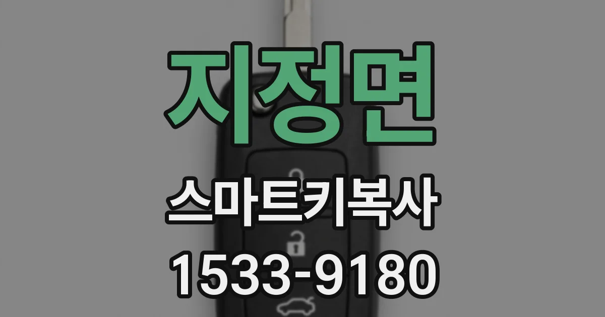 지정면 스마트키복사
