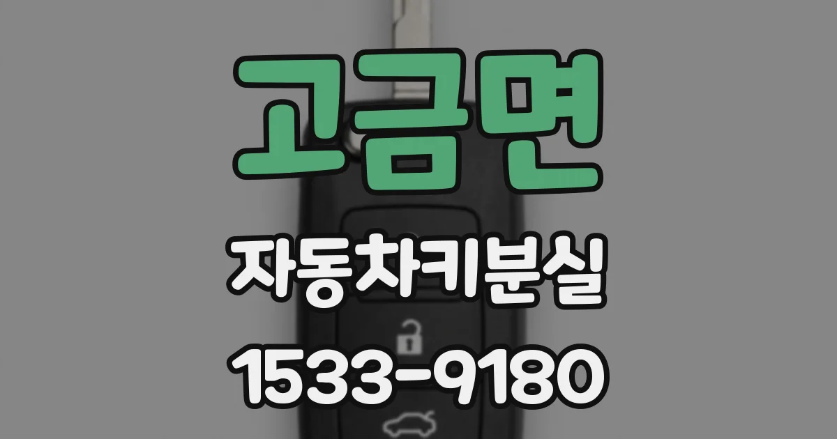 고금면 자동차키분실