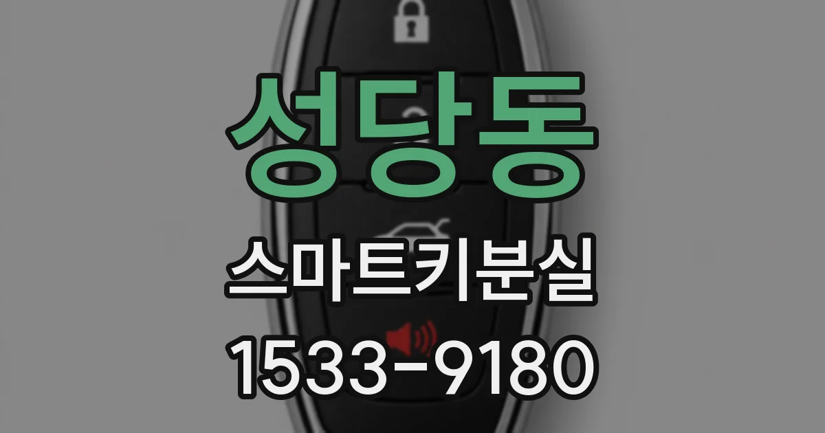 성당동 스마트키분실