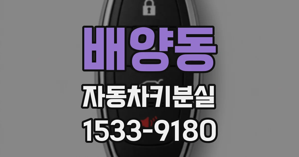 배양동 자동차키분실