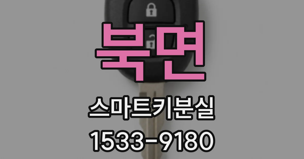 북면 스마트키분실