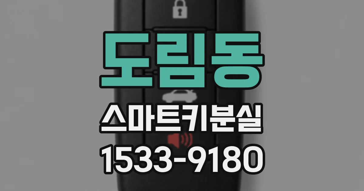 도림동 스마트키분실