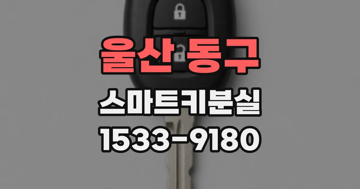 울산 동구 스마트키분실