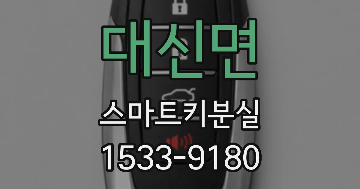 대신면 스마트키분실