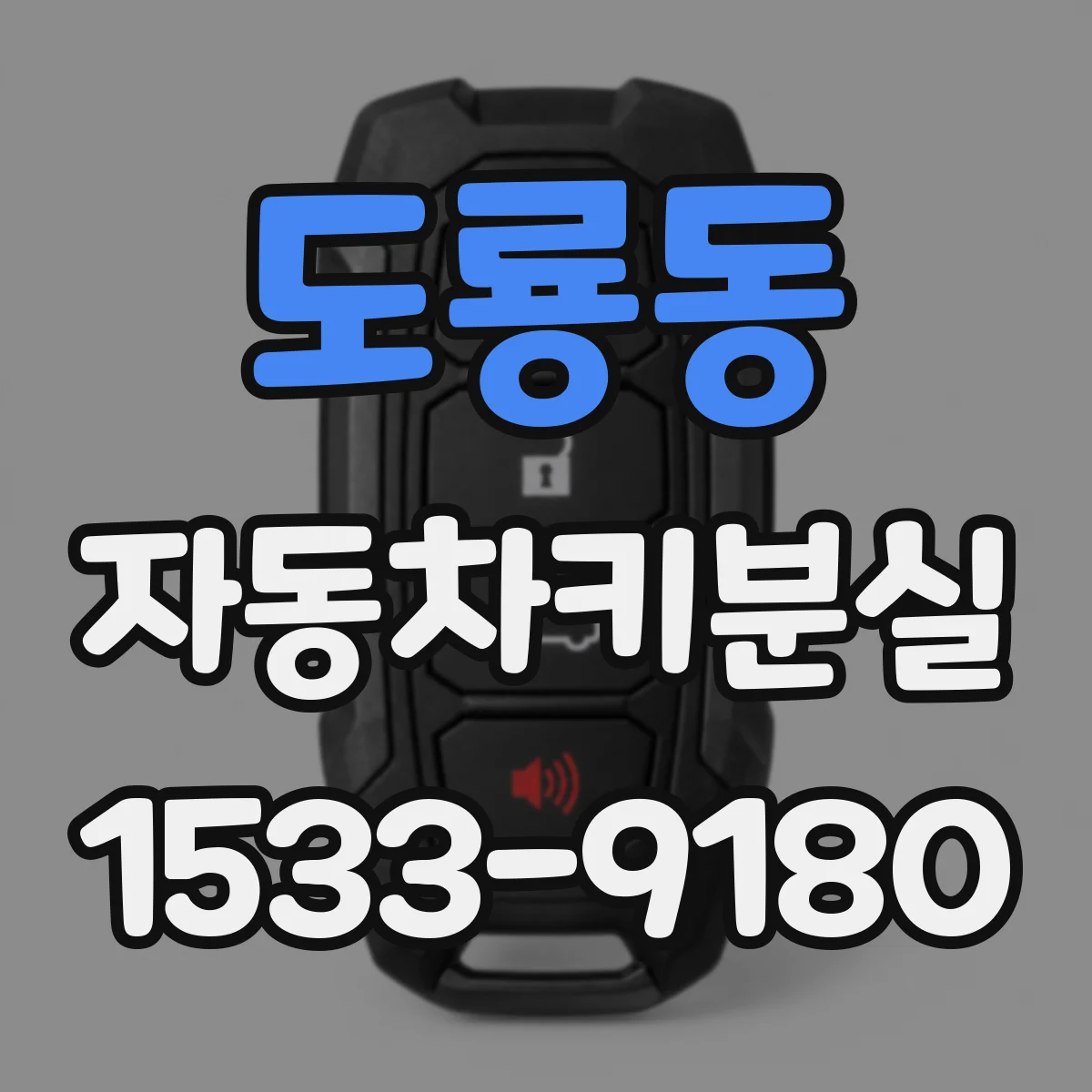 도룡동 자동차키분실